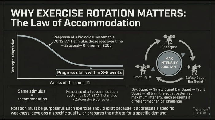 Exercise Rotation for Jiu-Jitsu