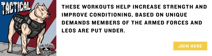 conjugate club tactical