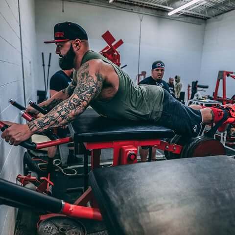 Ultra supreme reverse hyper in use at Westside Barbell gym