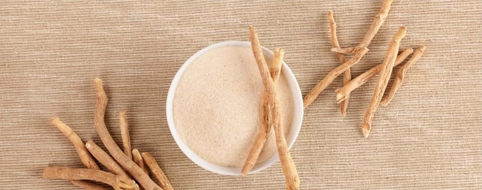 Plante adaptogène – Ashwagandha