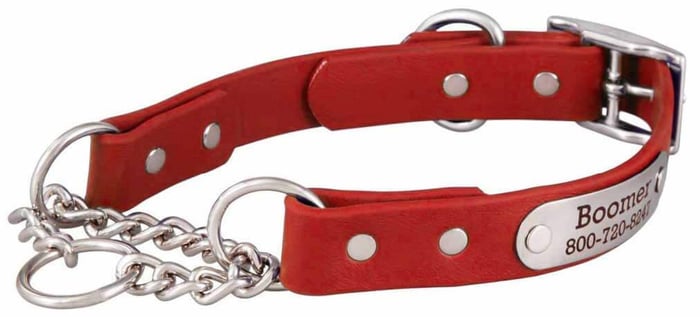 Waterproof Martingale Collar Personalized
