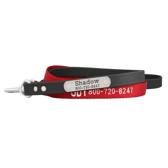 Personalized Nylon Leash and Personalized Waterproof Leash