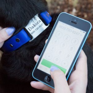 Person Dialing Contact Phone Number on Waterproof ScruffTag Dog ID Collar with Silent Name Plate