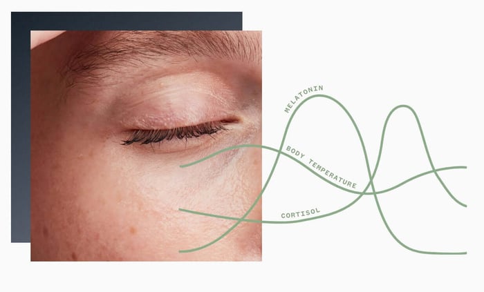 Close-up of closed eye with circadian rhythm graph showing melatonin, body temperature and cortisol cycles during sleep