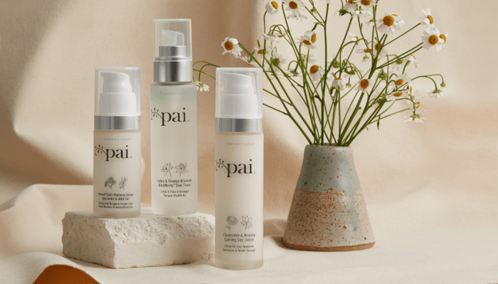 Pai Skincare sensitive skin collection with chamomile flowers in handmade ceramic vase on natural stone surface
