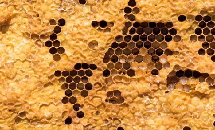 Beeswax