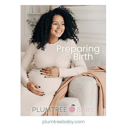 PI_book_PFB_30d0f4e1-2c27-4e67-80fa-0f34dc81d239_480x480.jpg?v=1704405165