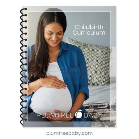 PI_CBE_curriculum_print_35c2a4e6-ef81-4897-a3e3-ddb4bca1cf64_480x480.jpg?v=1696884051