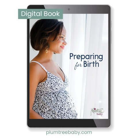 PI_digital_PFB_480x480.jpg?v=1649430773