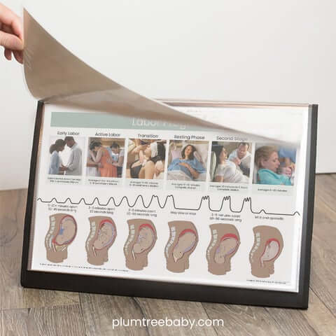 PI_DPD_flipping_2022_480x480.jpg?v=1664232652