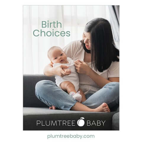 PIBirthChoices2nded_480x480.jpg?v=1708553530