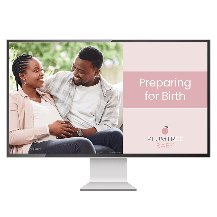 PPT_PFB_transparent_7055db1e-562a-4d13-9edd-e47c1f5e1ad4.png?v=1735947529