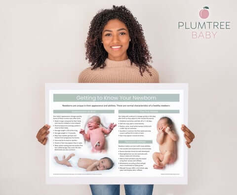 Teaching_Tips_Storing_Posters_2_480x480.jpg?v=1664228155