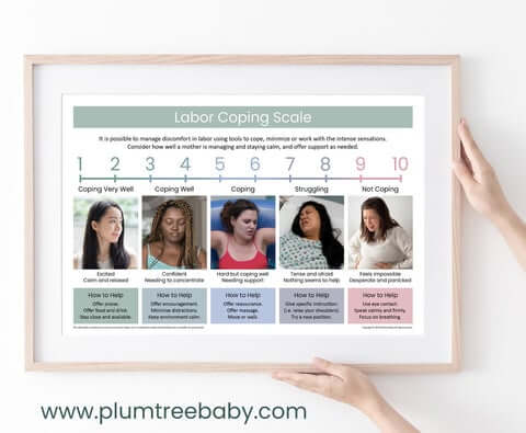 Teaching_Tips_Storing_Posters_3_480x480.jpg?v=1664228619