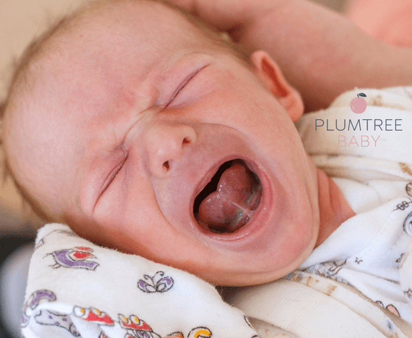 tongue_tie_blog_3_July_2025_7441a129-59c5-4359-9e9a-da33feb80fa0_600x600.png?v=1753737787