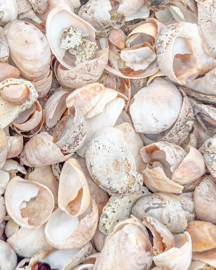 why we use recycled ocean plastic: to keep things beautiful