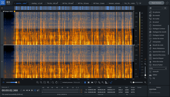 Fizzy frequencies in an actress’ recording