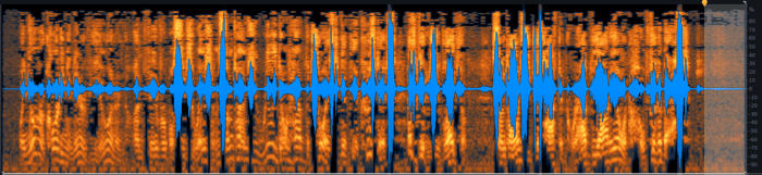 Spectrogram view, selecting exposed noise for Spectral De-noise to learn