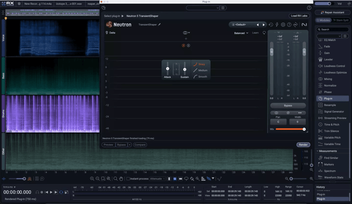 Neutron Transient Shaper in RX 12