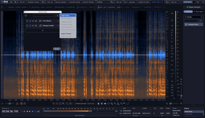 Adding presets in the module chain in RX 12