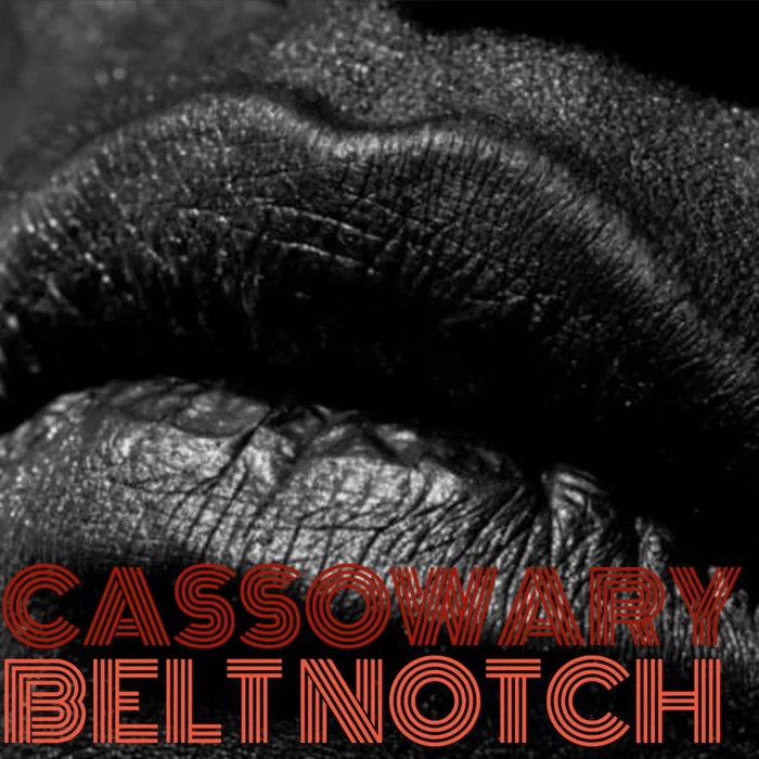 "Belt Notch" by Cassowary