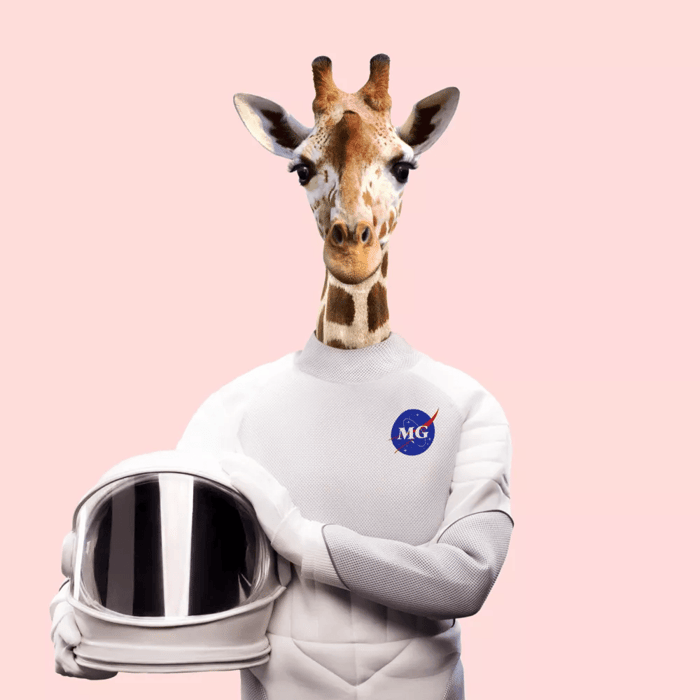 Album Art | More Giraffes