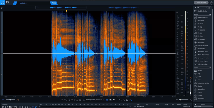 Vocals in the RX spectrogram