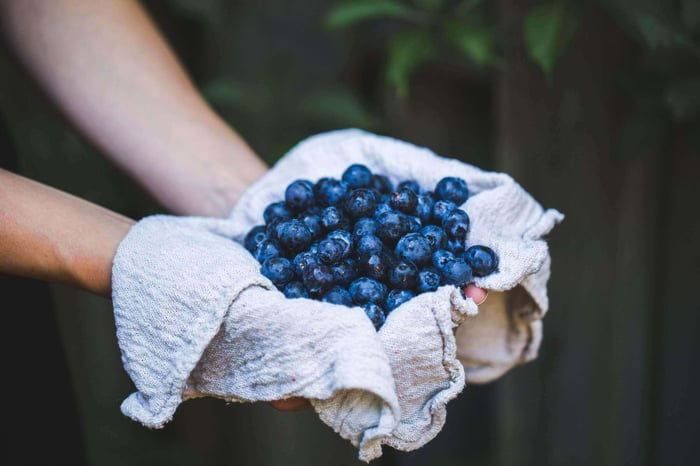 Berries.jpeg