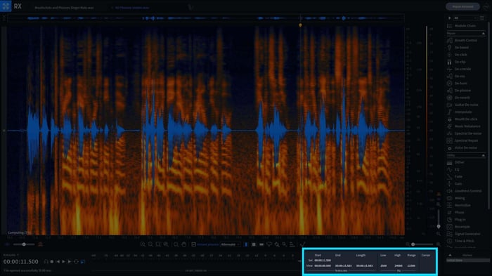 Achieve specific zoom levels or selection ranges with RX Pro for Music