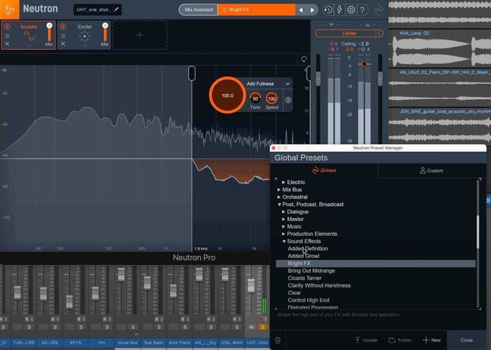 Presets for dialogue, master, production elements, and sound effects are included with Neutron