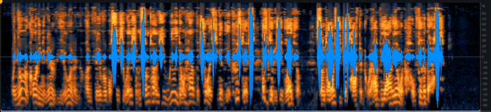 Spectrogram view after applying Spectral De-noise