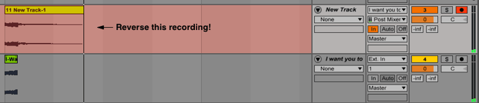 Reversing a sample in Ableton Live