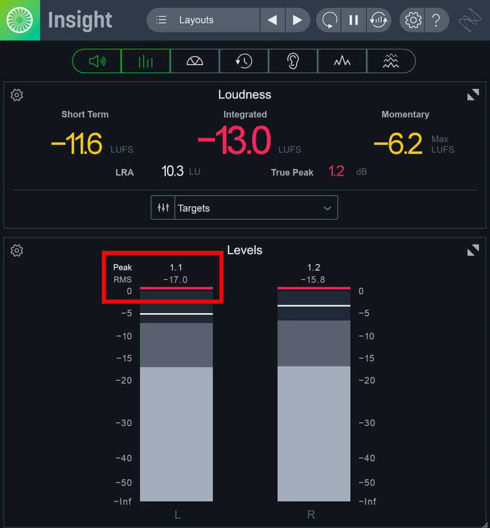 Insight Pro’s RMS level and peak level readouts