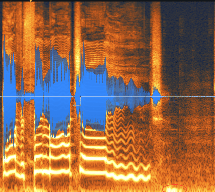 Rumble in a vocal recording