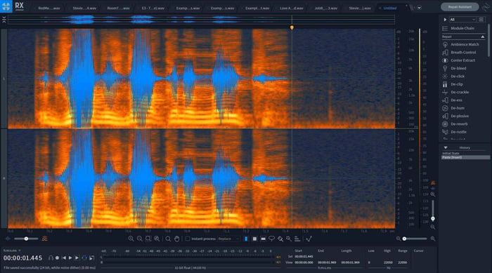 Distorted vocal