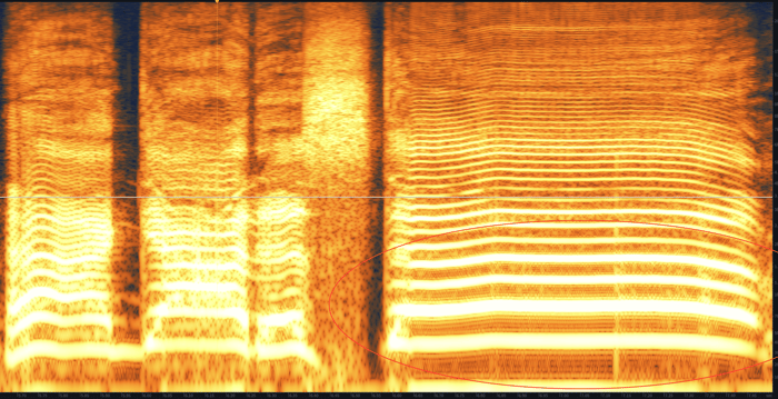 Distorted low and low-mid frequencies in the RX 7 Standard Spectrogram