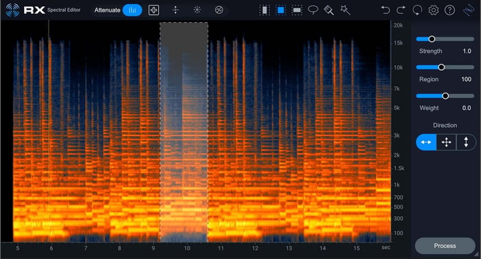 iZotope RX 12 Spectral Editor