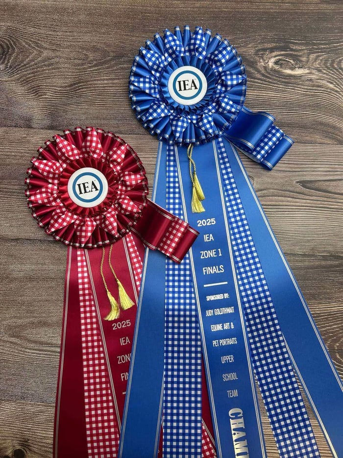 Custom Jersey champion award rosettes customized in blue and red ribbon.