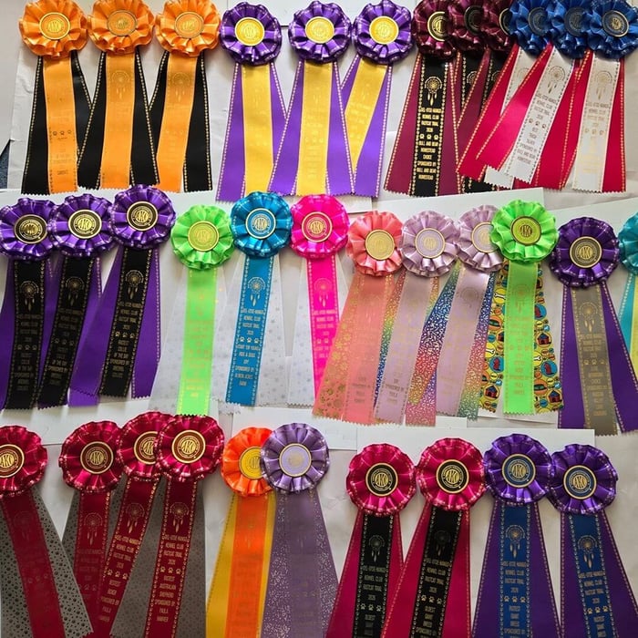 Custom rosettes handcrafted by Hodges Badge Company