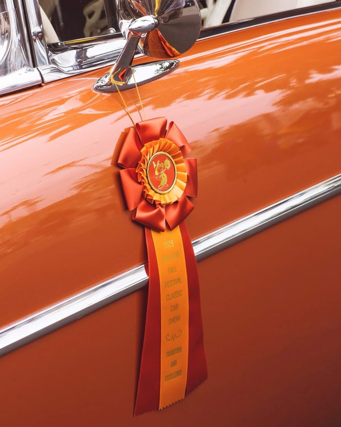Peerless 3 Fair, Festival & 4-H Rosette Award Ribbon, 5-1/2" Top
