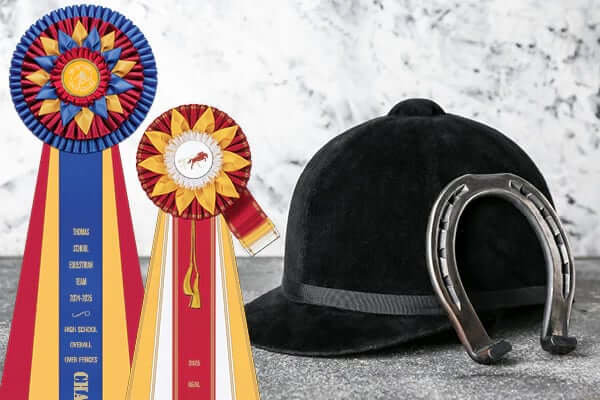 Rosette horse show awards in Champion and Reserve Champion place colors.
