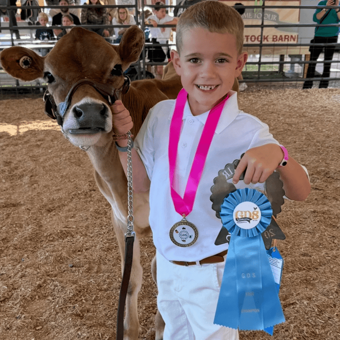 Winning a custom rosette and medal award at a local livestock show