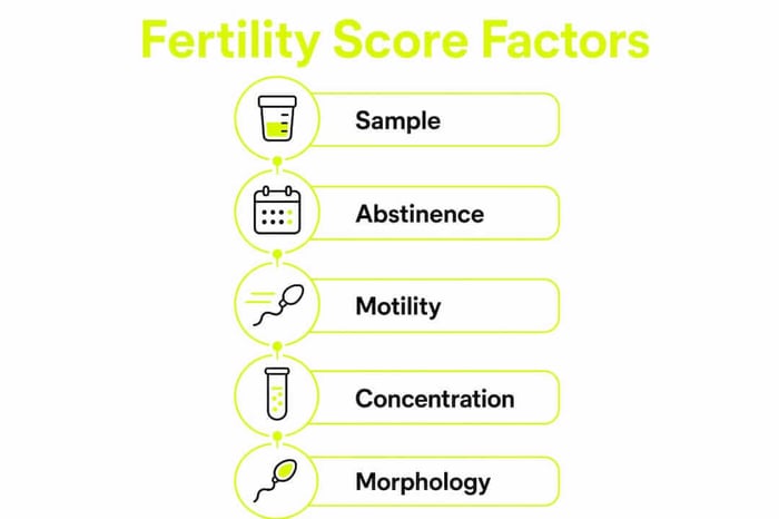 Infographic of steps affecting male fertility score