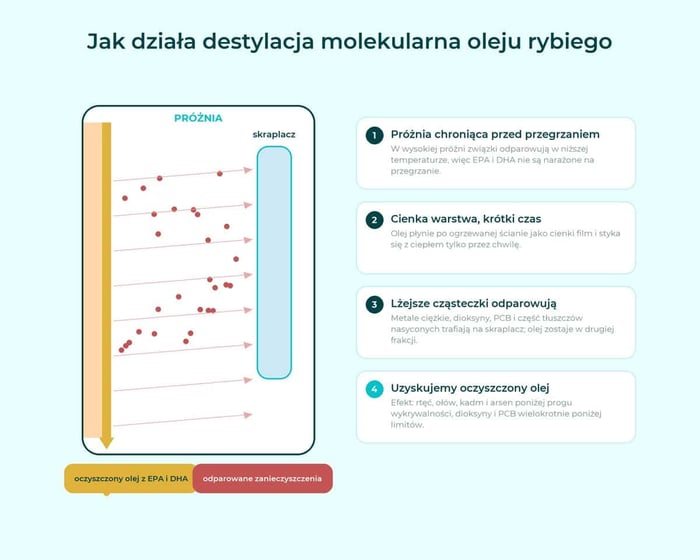 Schemat destylacji molekularnej oleju rybiego: próżnia, cienka warstwa oleju na ogrzewanej ścianie, zanieczyszczenia odparowują na skraplacz