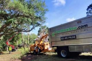 Tree Permits in Orlando