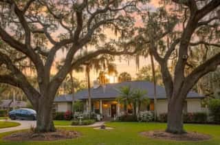 Orlando Tree Trimming