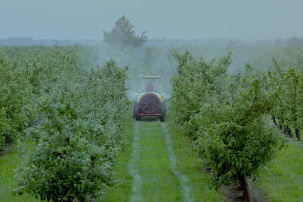 Senix Ultrasonics Reduce Chemical Usage in Agriculture