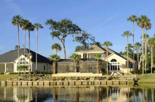 Lakefront Property Tree Management in Eustis