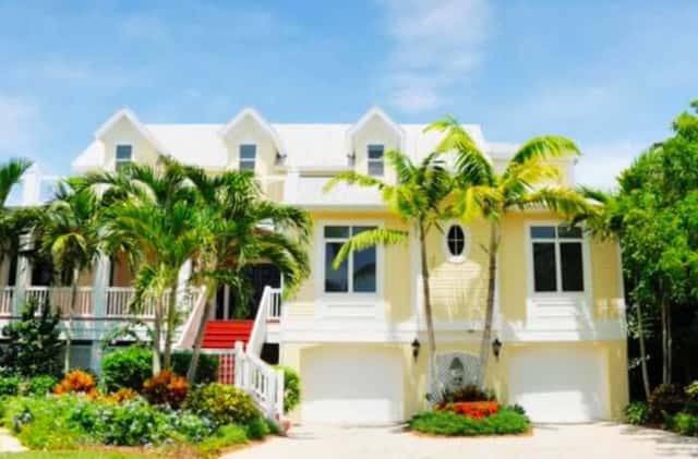 Seasonal Tree Care in Ocoee