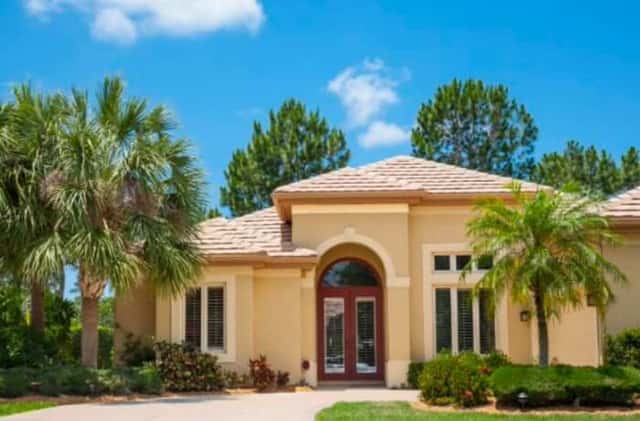 Tree Trimming in Mount Dora